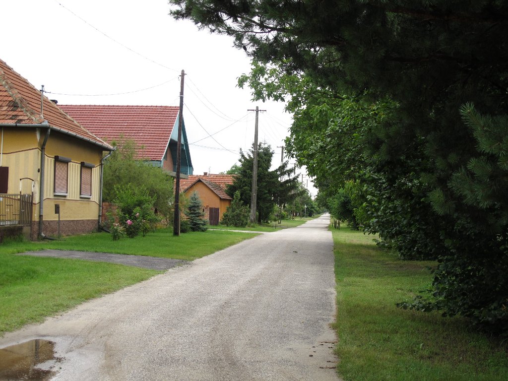 Straße in Bugac