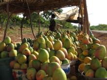 Mit der Regenzeit beginnt auch der »Mangoregen« - Mangostand am Straßenrand auf der Rückfahrt Richtung Ouaga