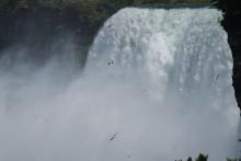 Niagara: Im Wassernebel kreisen die Möwen