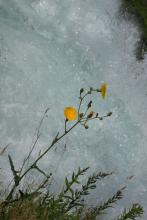 Niagara: Achttausendstel Sekunde Wasser